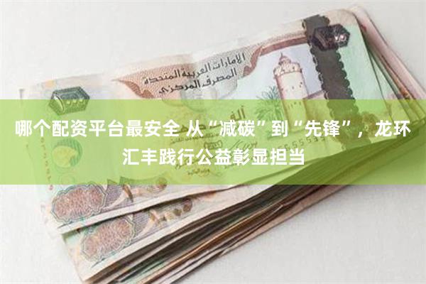 哪个配资平台最安全 从“减碳”到“先锋”，龙环汇丰践行公益彰显担当