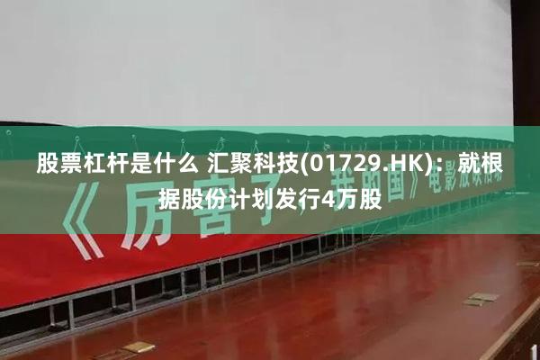 股票杠杆是什么 汇聚科技(01729.HK)：就根据股份计划发行4万股