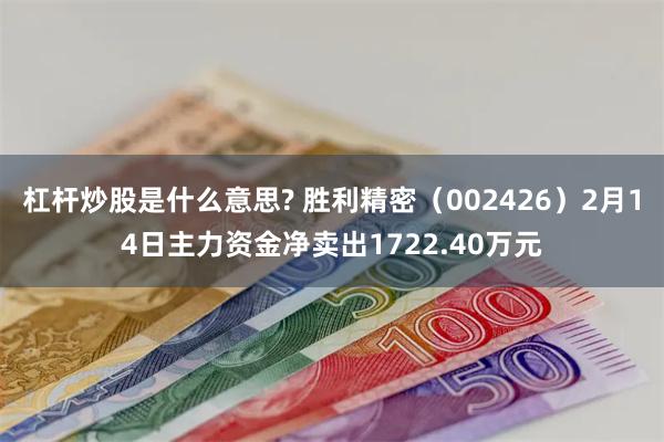 杠杆炒股是什么意思? 胜利精密（002426）2月14日主力资金净卖出1722.40万元