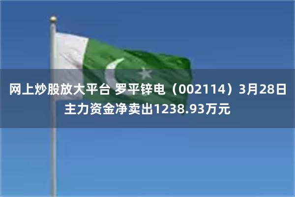 网上炒股放大平台 罗平锌电（002114）3月28日主力资金净卖出1238.93万元