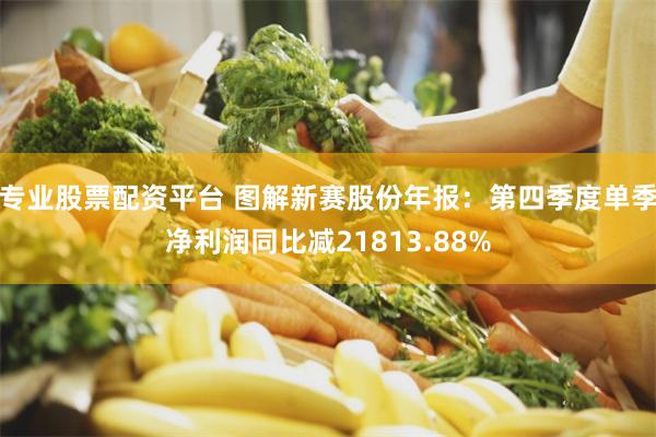 专业股票配资平台 图解新赛股份年报：第四季度单季净利润同比减21813.88%
