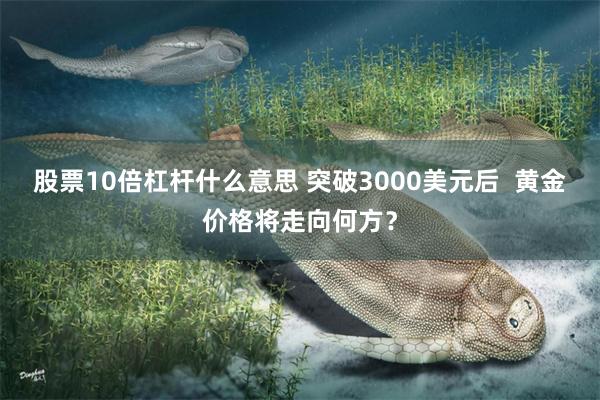股票10倍杠杆什么意思 突破3000美元后  黄金价格将走向何方？
