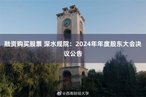 融资购买股票 深水规院：2024年年度股东大会决议公告