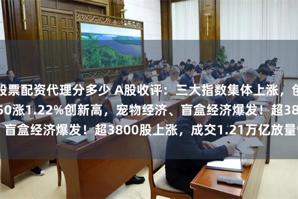 股票配资代理分多少 A股收评：三大指数集体上涨，创业板指涨0.77%北证50涨1.22%创新高，宠物经济、盲盒经济爆发！超3800股上涨，成交1.21万亿放量923亿