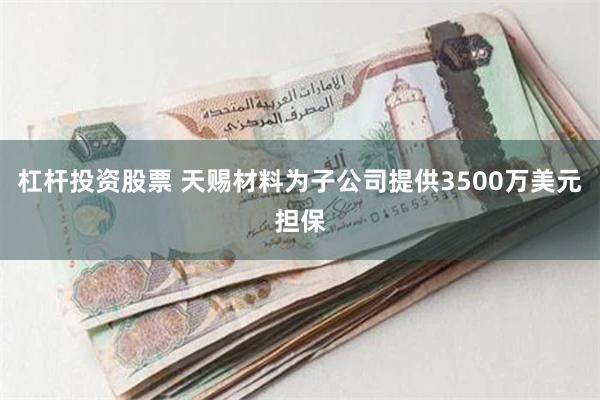 杠杆投资股票 天赐材料为子公司提供3500万美元担保